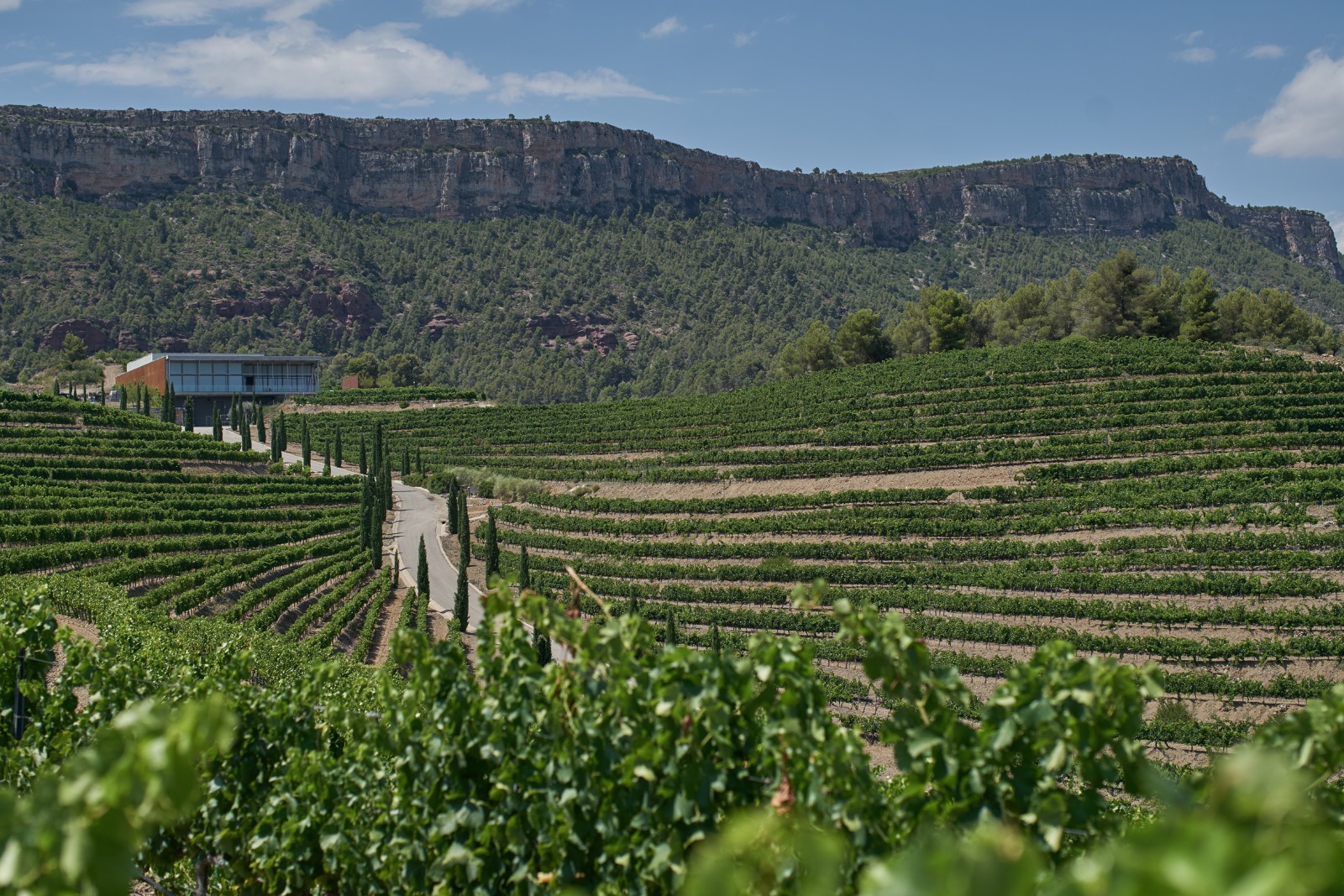 Celler Família Torres Priorat