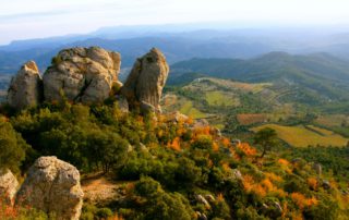 Imatge del Parc Natural de la Serra de Montsant amb cultius