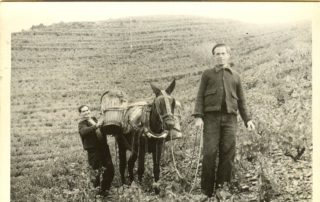 Imatge històrica de la DOQ Priorat