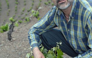 Sal·lustià Àlvarez i Vidal, president de la DOQ Priorat