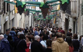 Imatge de la Festa del Vi i la Verema a l'Antiga de Poboleda 2017